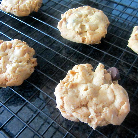 Vegan Oatmeal Chocolate Chip Cookies