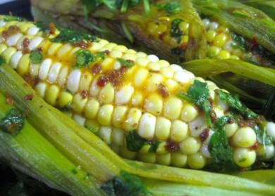 cilantro harissa grilled corn